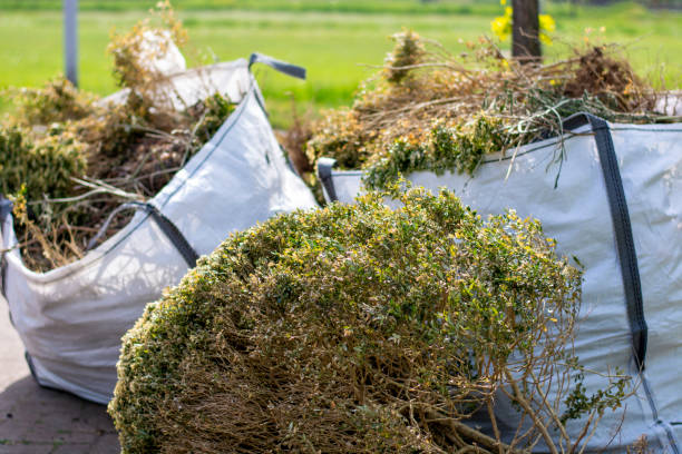 Best Attic Cleanout Services  in Lakeview Estates, GA